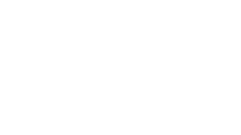 2800+ Experts